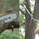 Sun Joe Convertible 6A Chainsaw/Pole Saw | $73 | Daily Steals | Promo code KJSUNJ